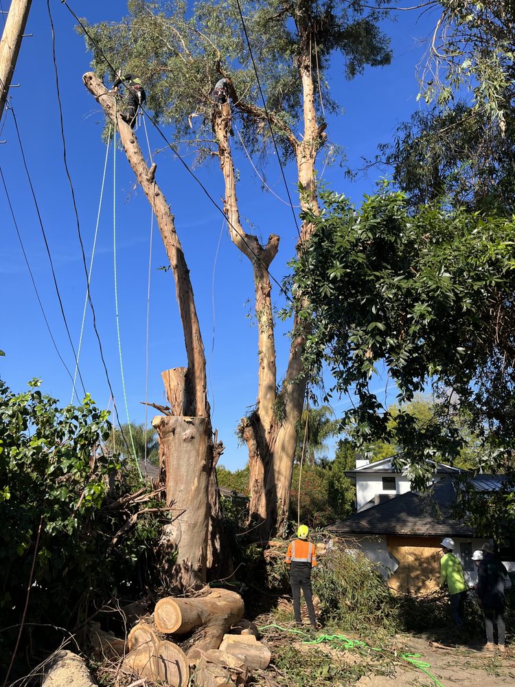 Encino Project